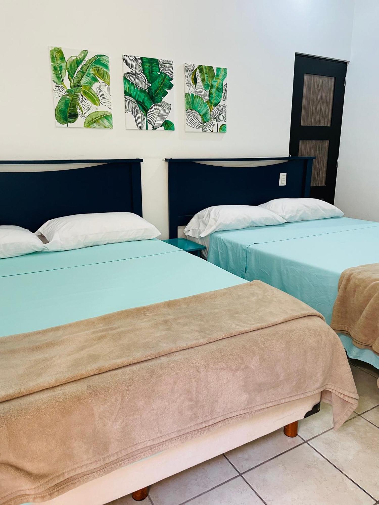 Pedregal Suites - Marina And Downtown Cabo San Lucas Exteriör bild