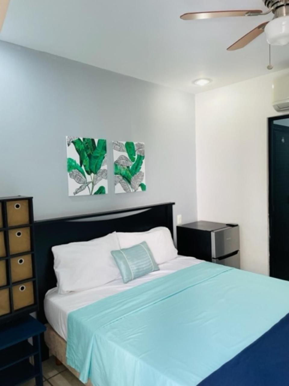 Pedregal Suites - Marina And Downtown Cabo San Lucas Exteriör bild